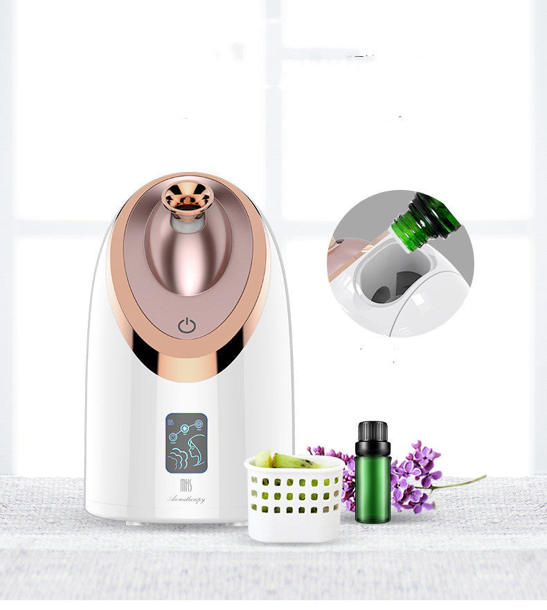 Smilovia Nano Facial Steamer